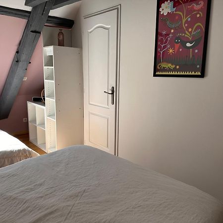 Appartement Des Vignes Metz Buitenkant foto